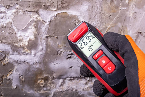 Best Water Damage Restoration  in Glenolden, PA