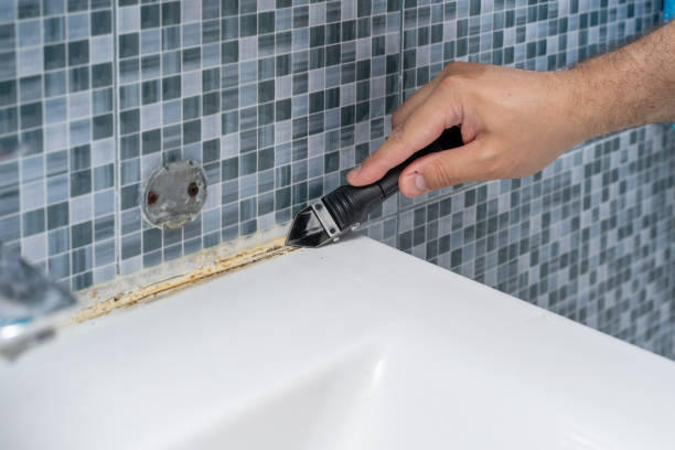 Best Mold Damage Repair  in Glenolden, PA